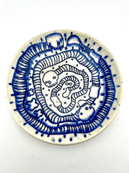 PLATE 12