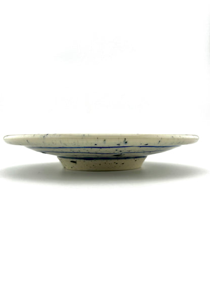 PLATE 9