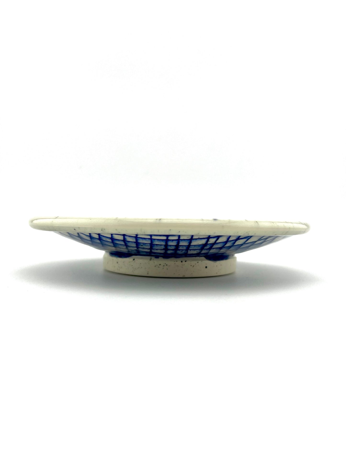 PLATE 1
