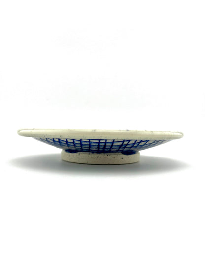 PLATE 1