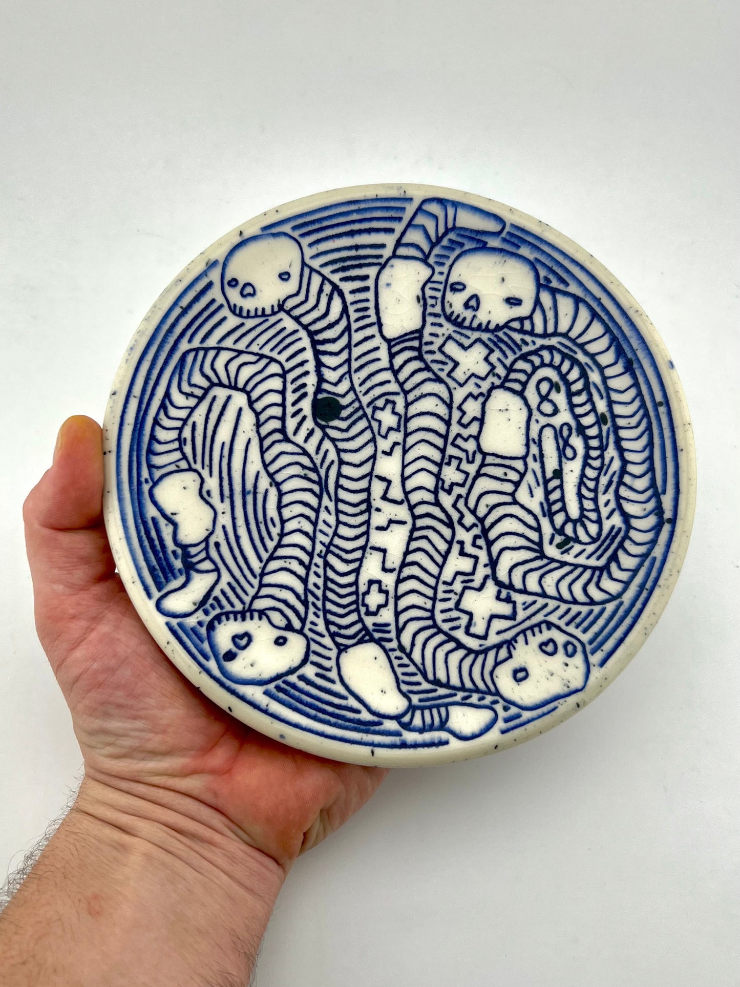 PLATE 4