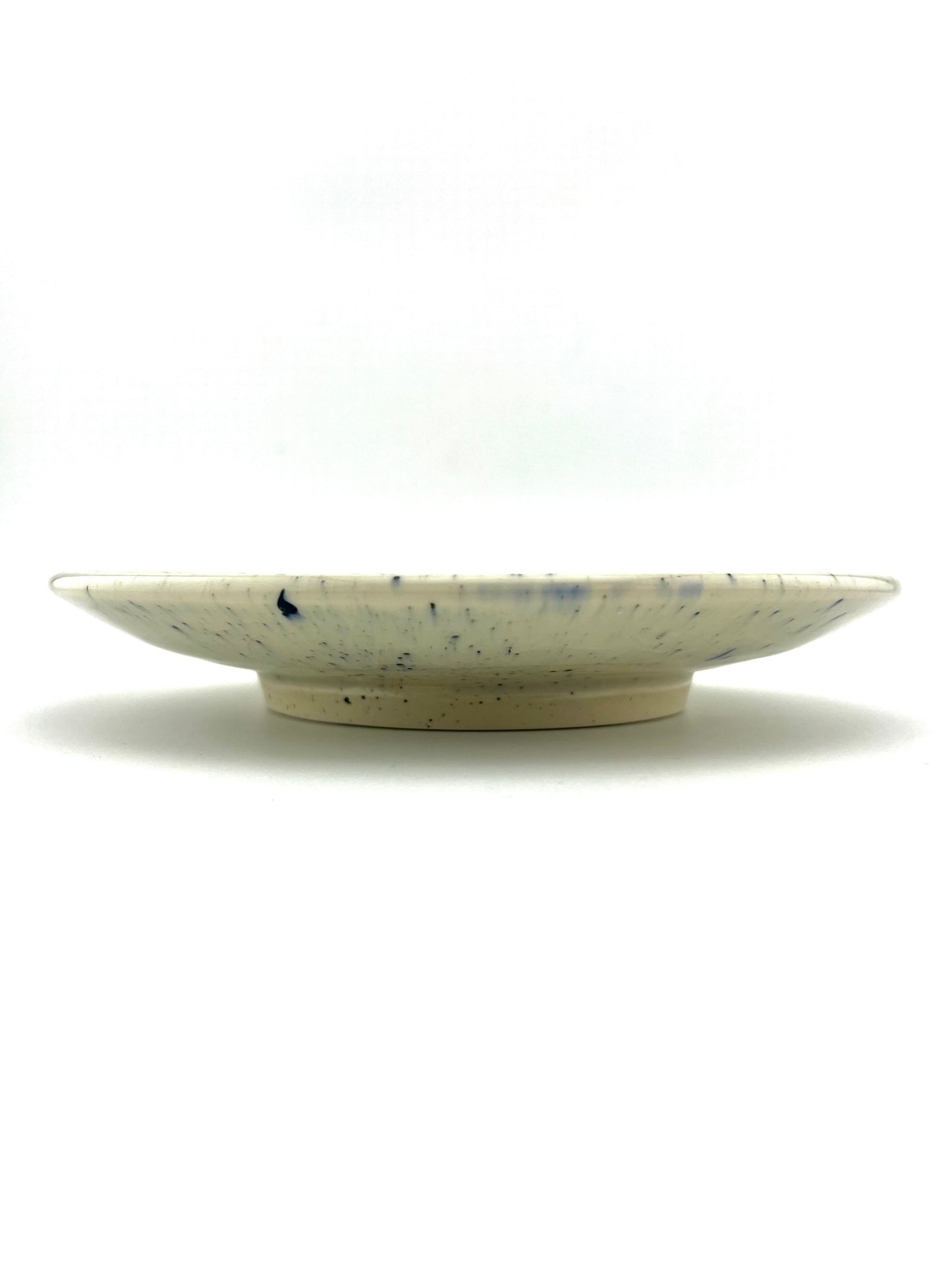 PLATE 12