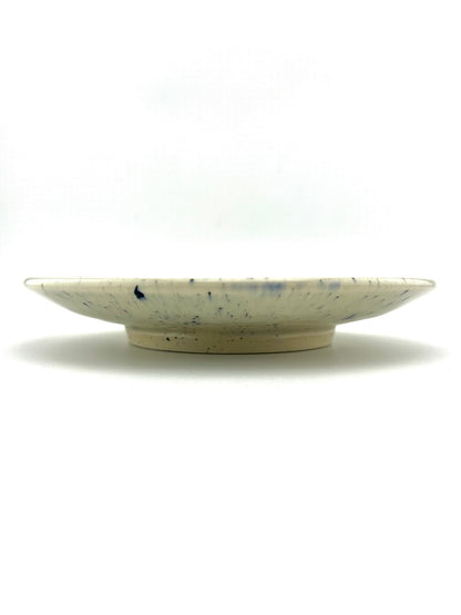PLATE 12