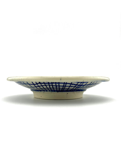 PLATE 10