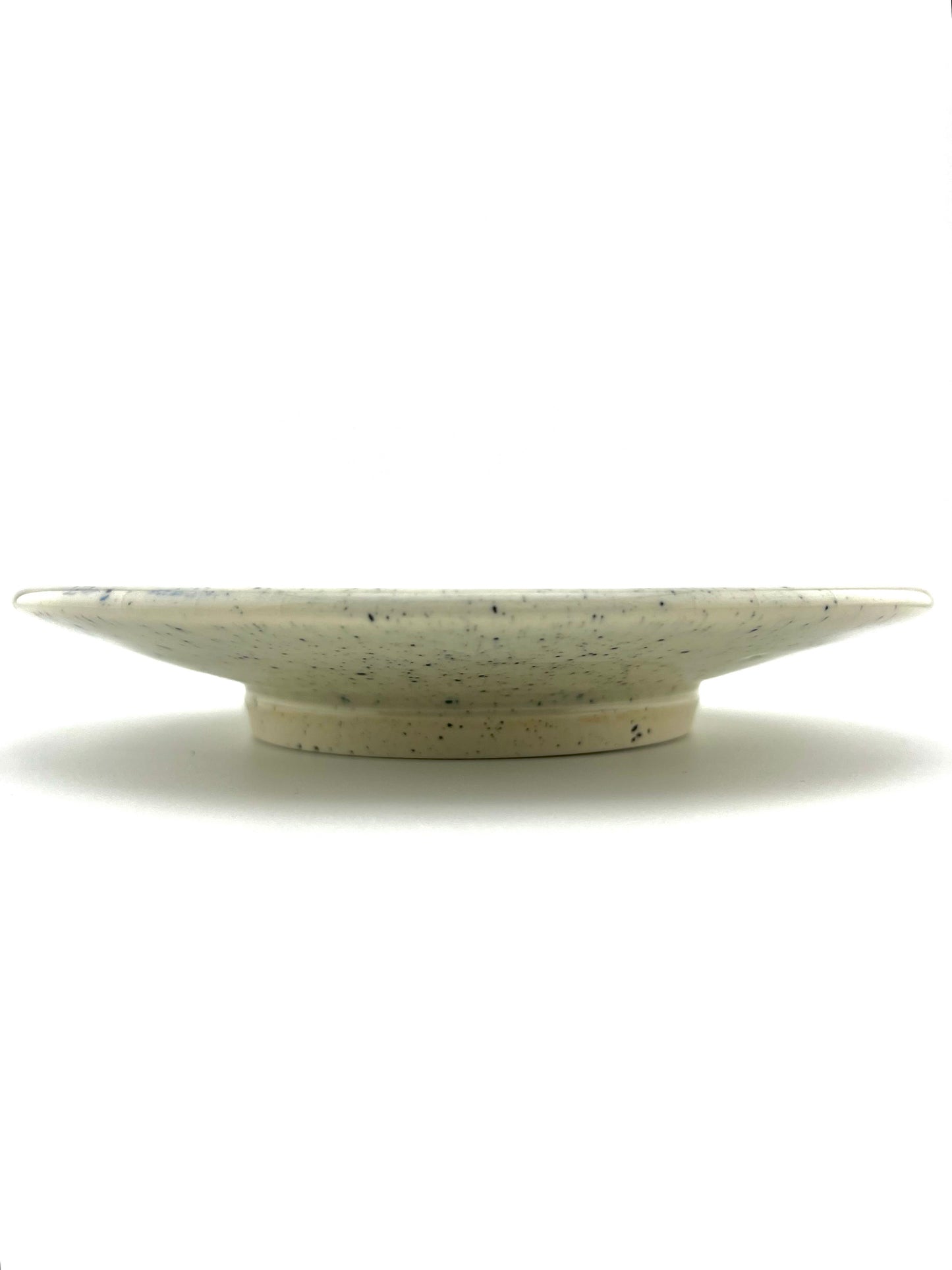 PLATE 8