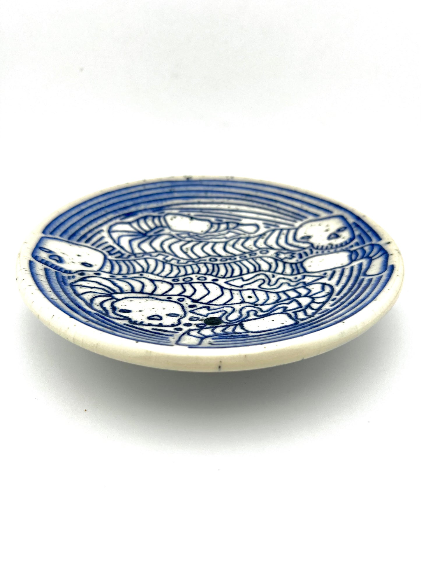 PLATE 10