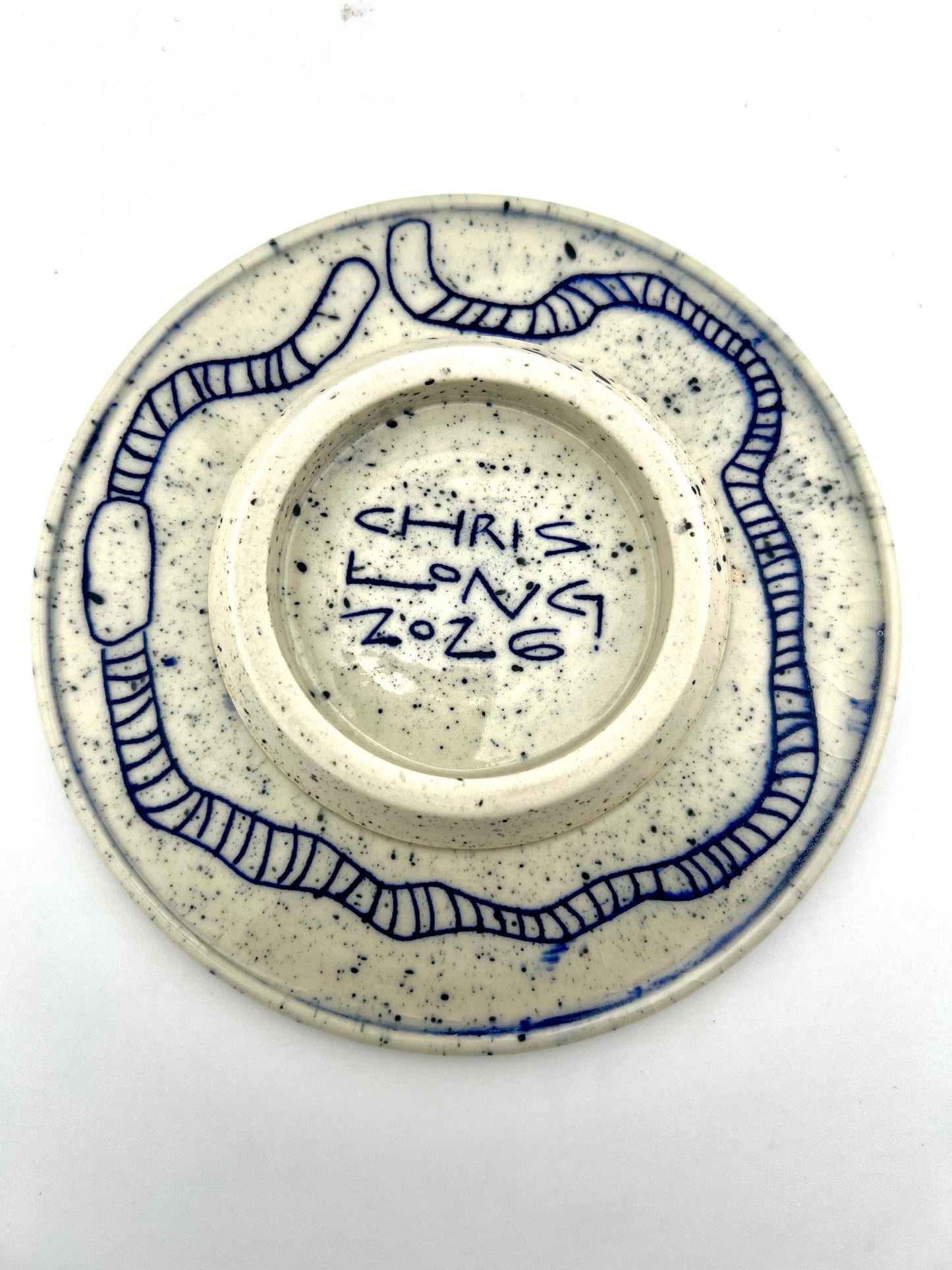 PLATE 5
