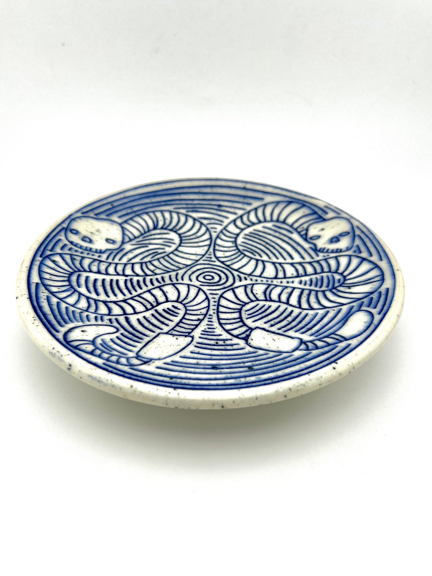 PLATE 8