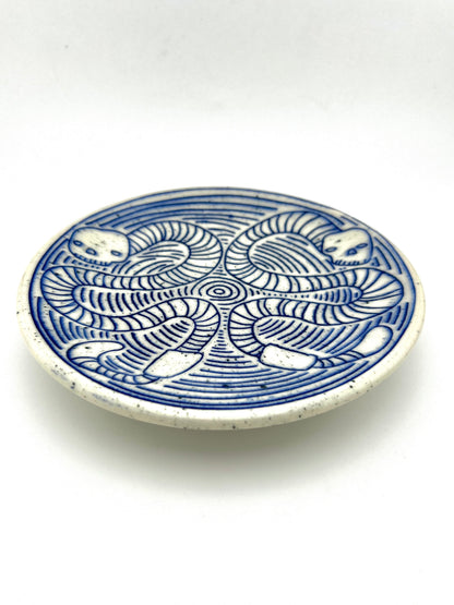 PLATE 8