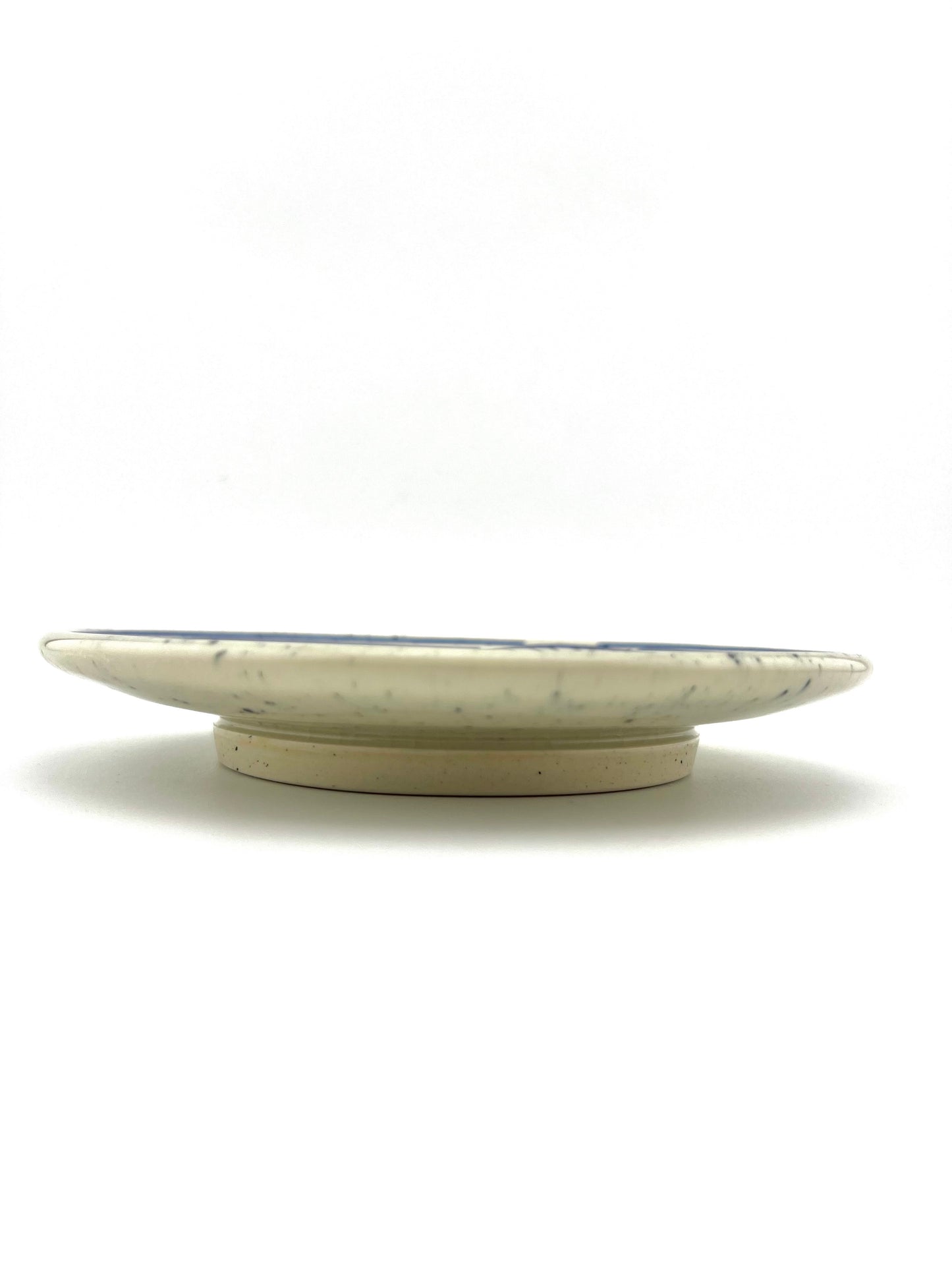 PLATE 2