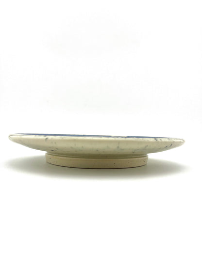 PLATE 2