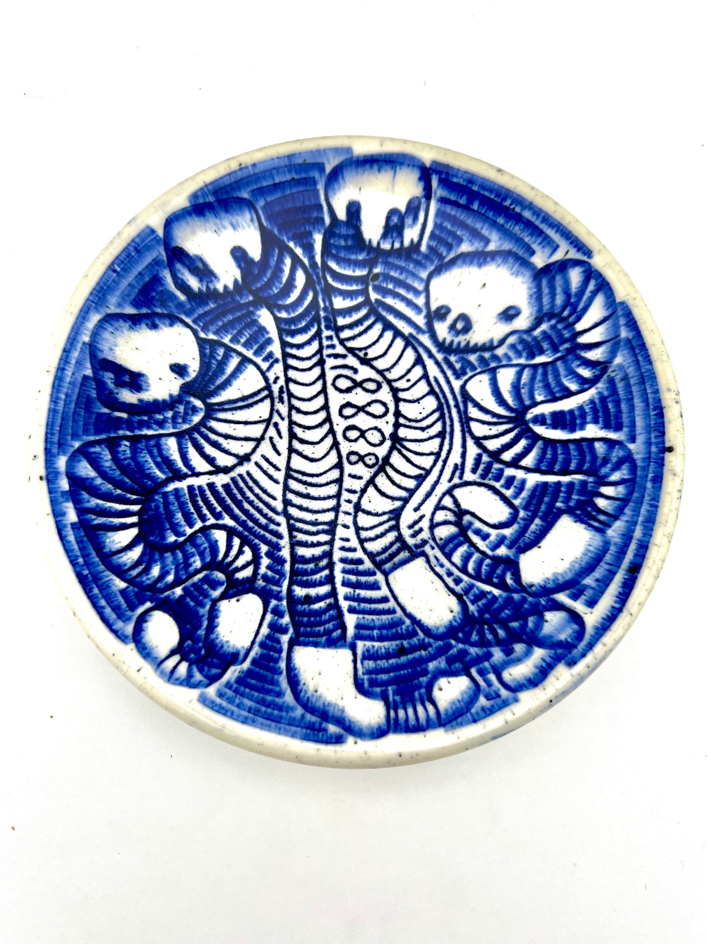 PLATE 11