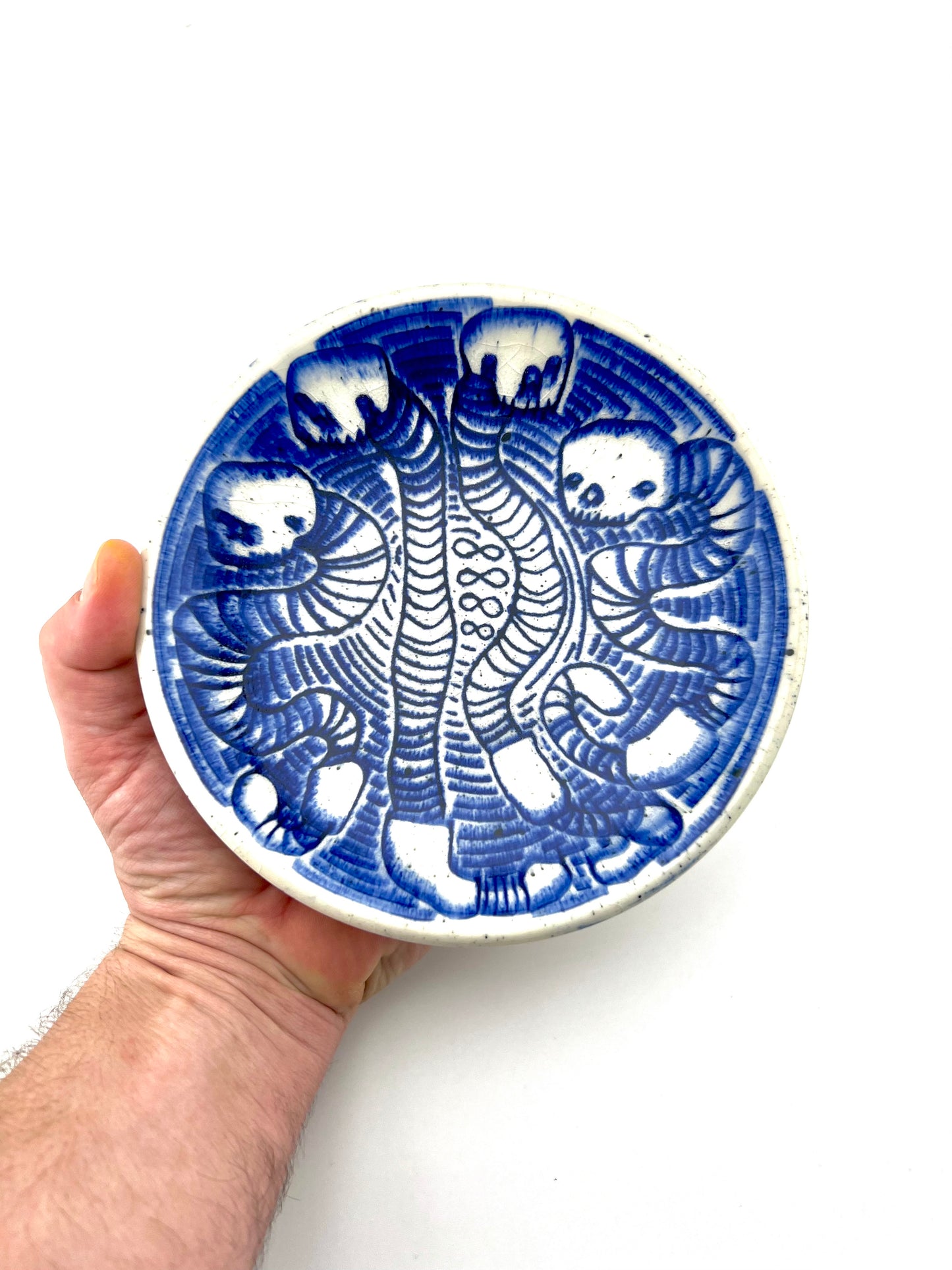 PLATE 11