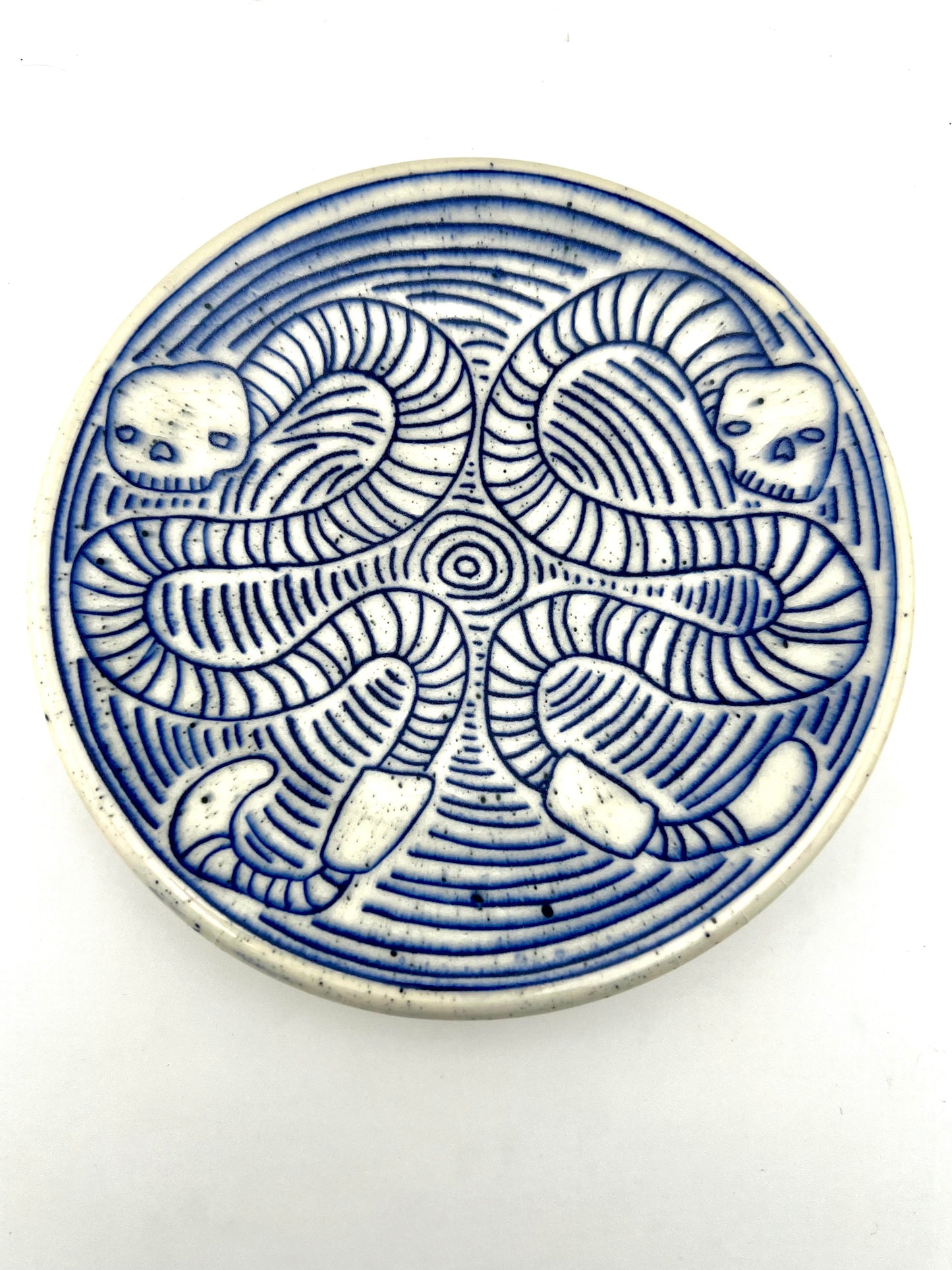 PLATE 8