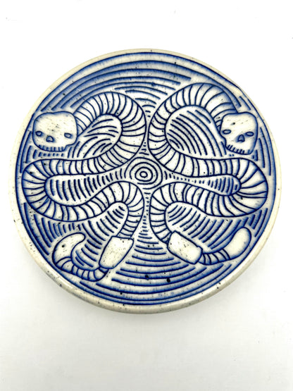 PLATE 8