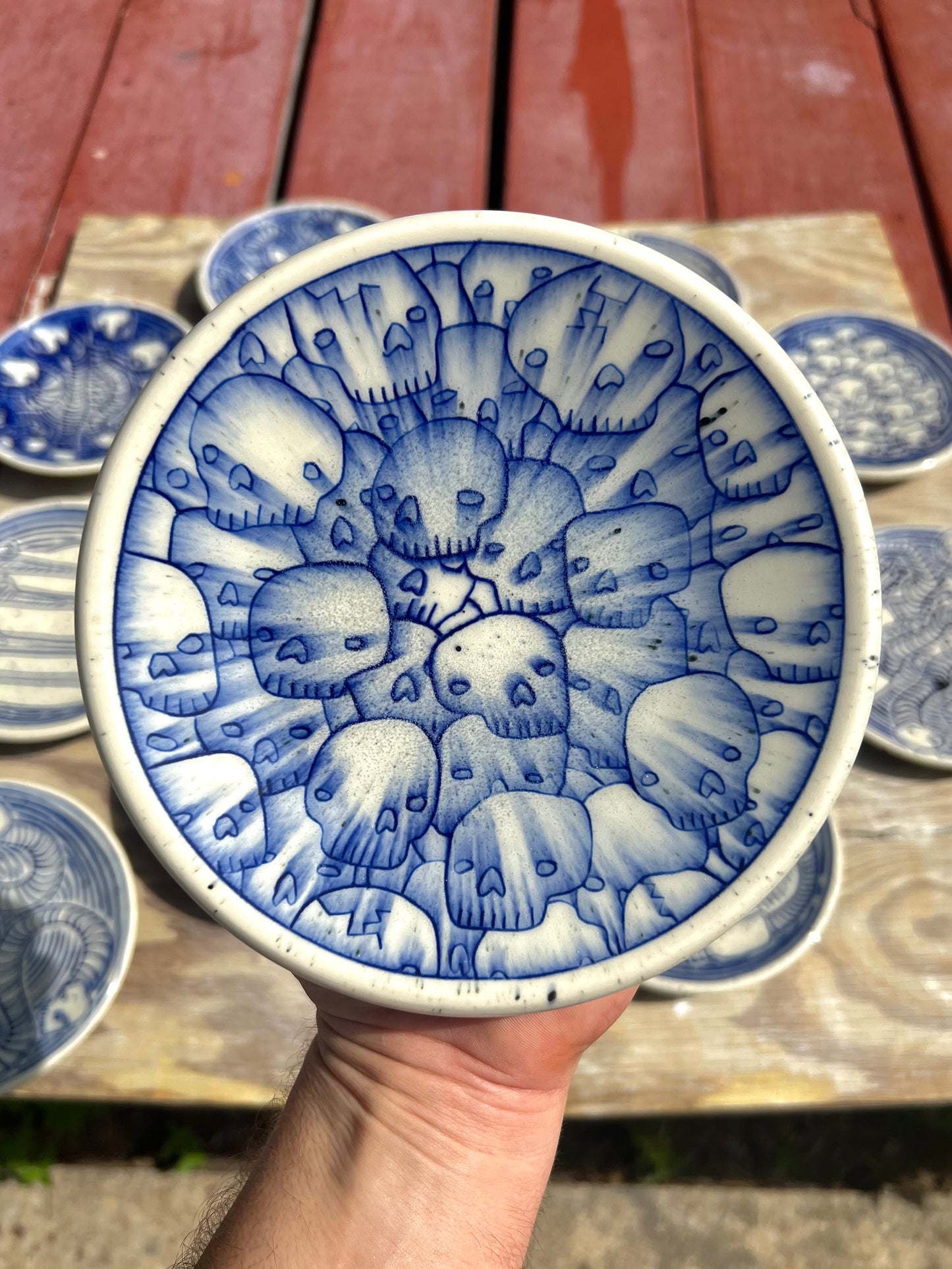 PLATE 1