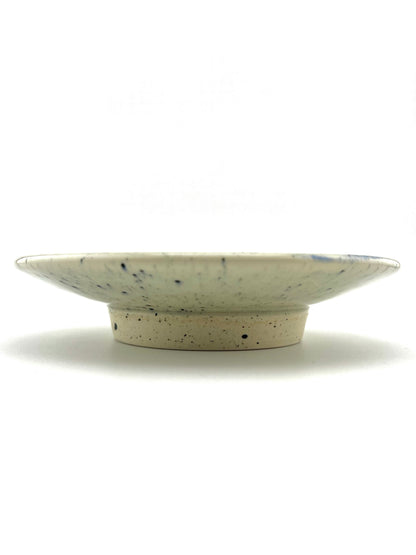 PLATE 11