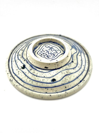 PLATE 9