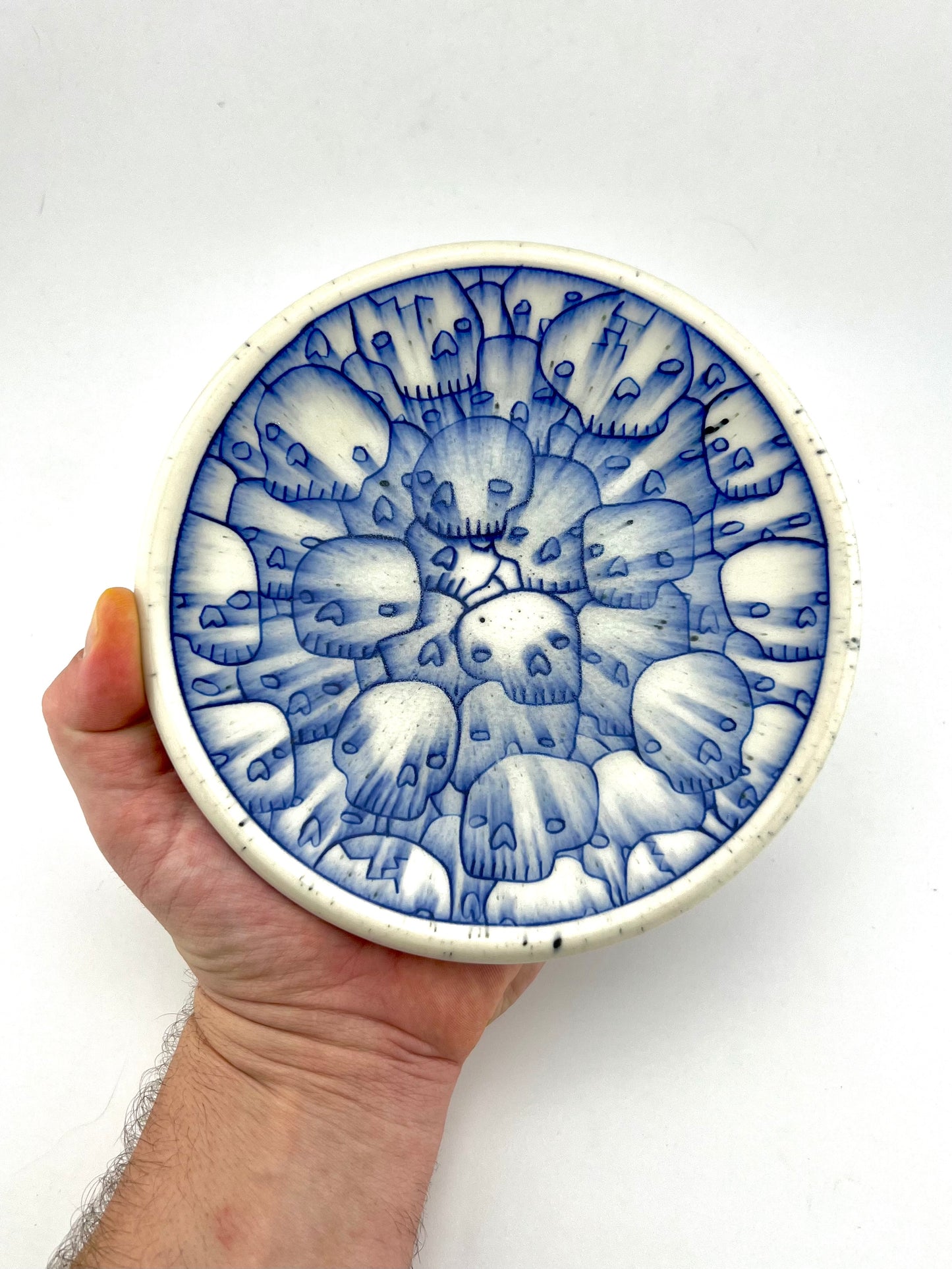 PLATE 1