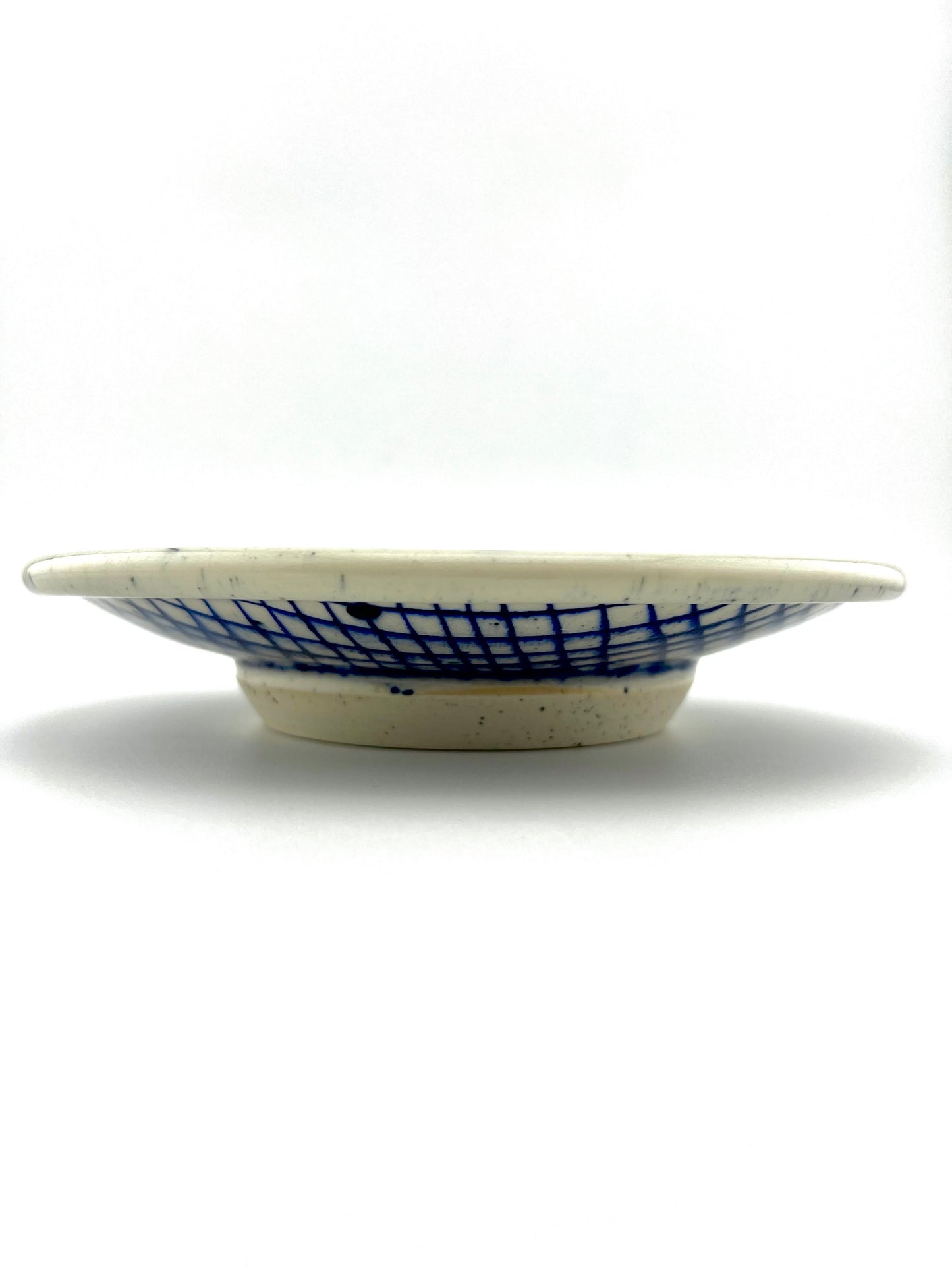 PLATE 7