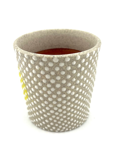 CUP 12