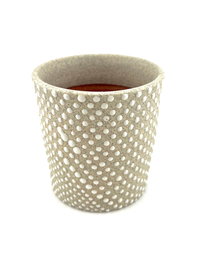 CUP 12